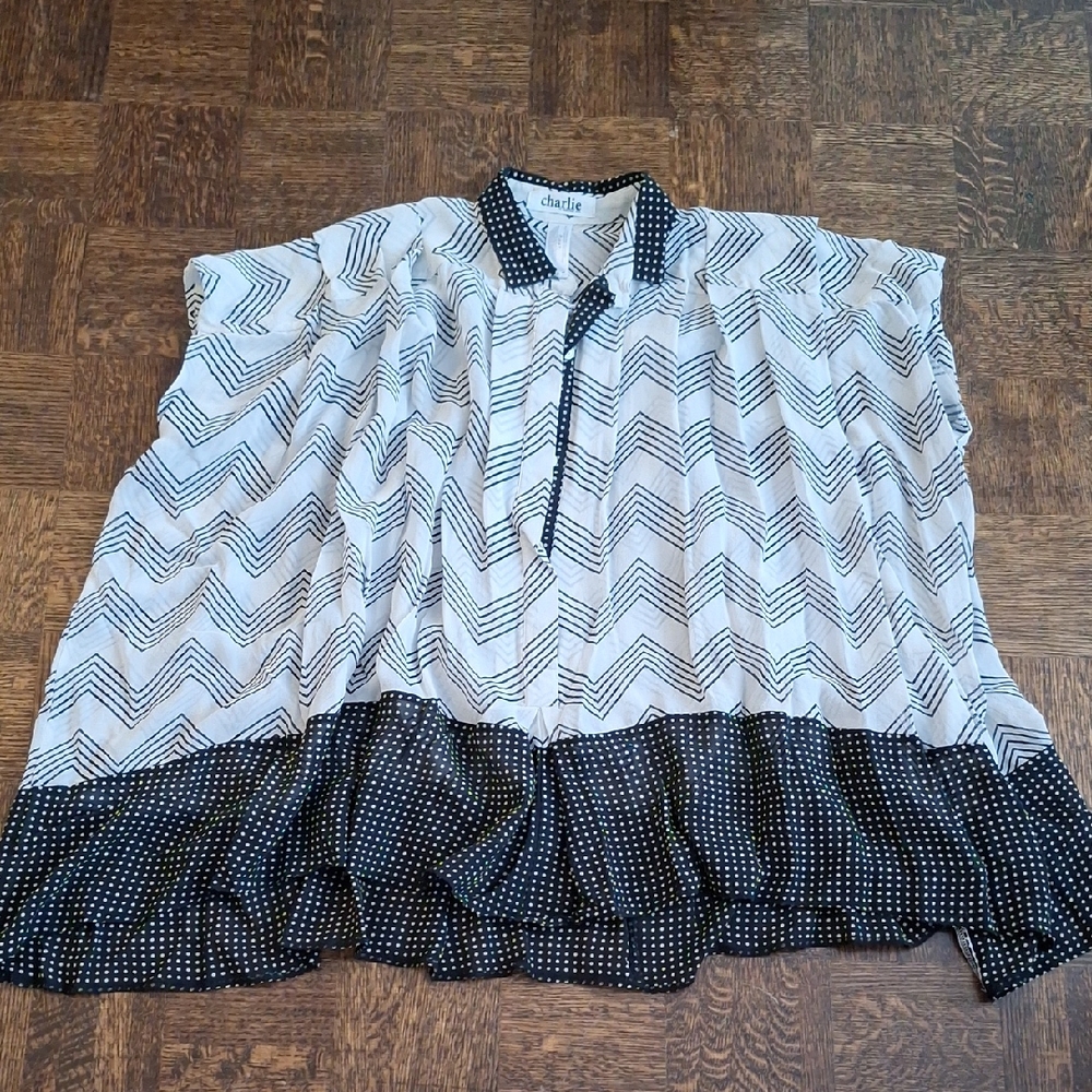 Charlie Silk Graphic Blouse